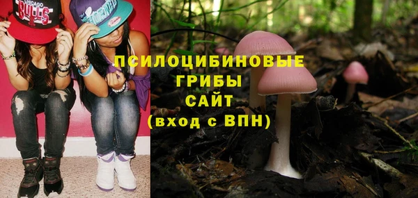 соль курить ск Осинники