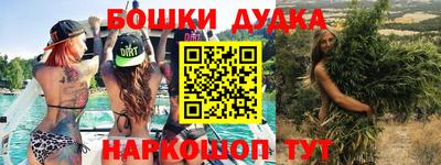 индика Абинск