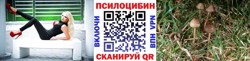 Галлюциногенные грибы мухоморы  купить наркотик  Аргун 