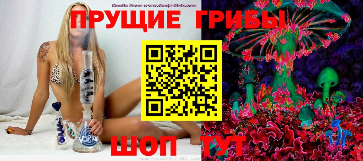 Галлюциногенные грибы Psilocybine cubensis Аргун
