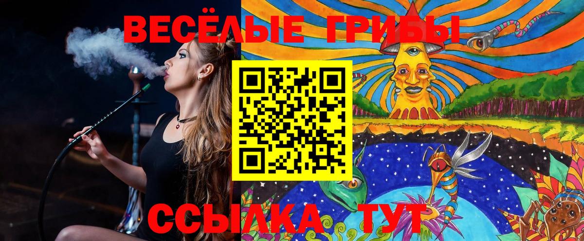 Галлюциногенные грибы GOLDEN TEACHER  Вход с VPN  Аргун 