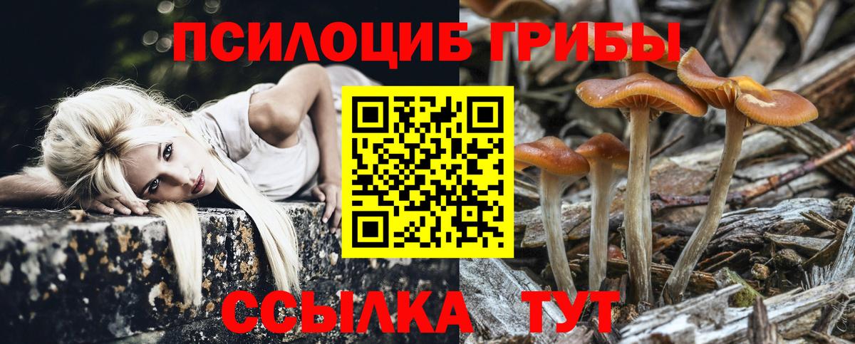 Галлюциногенные грибы прущие грибы  Аргун 