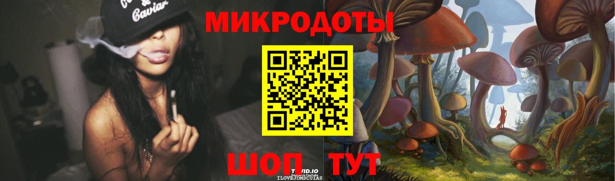 Галлюциногенные грибы Psilocybe Аргун