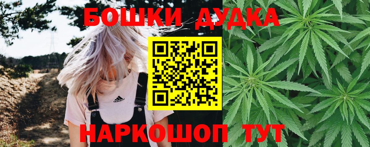 Конопля ГИДРОПОН  Вход с VPN  МАРИХУАНА сатива  Аргун  Конопля семена 